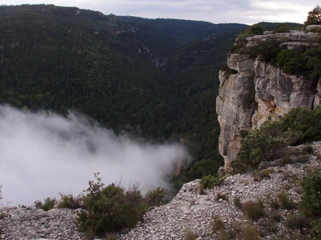 Mas De L'Arlequi Pension Rojals Buitenkant foto