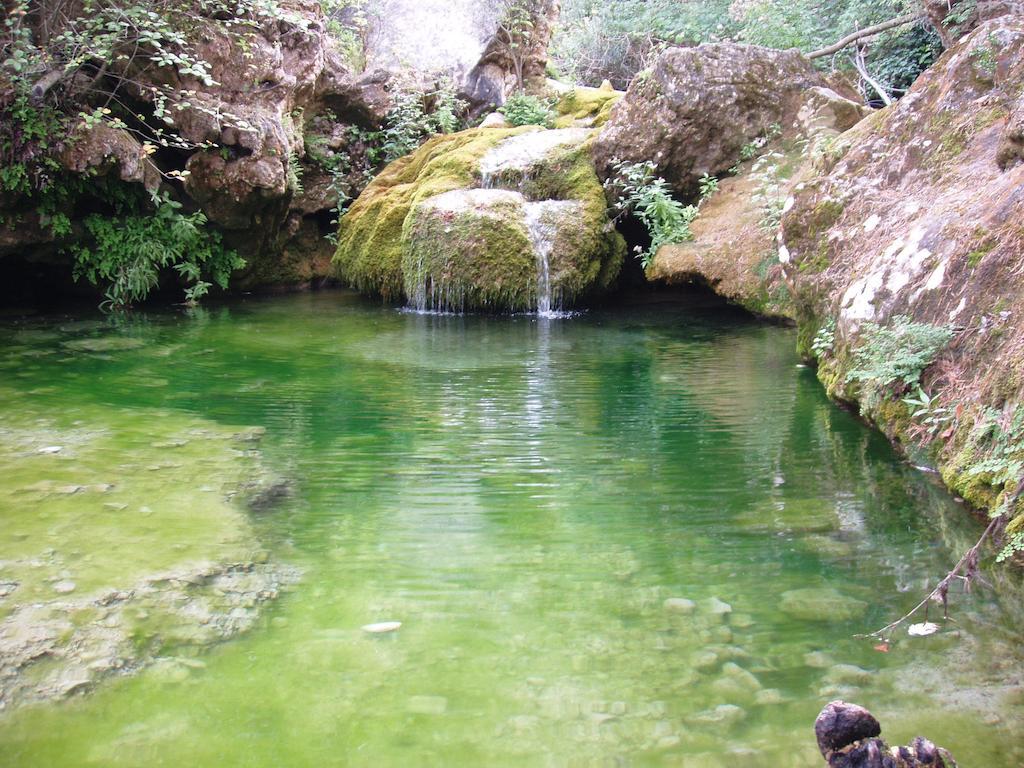 Mas De L'Arlequi Pension Rojals Buitenkant foto