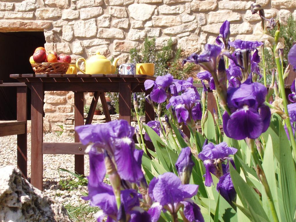 Mas De L'Arlequi Pension Rojals Buitenkant foto